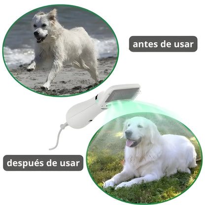 AURAPET - MASCOTA FELIZ