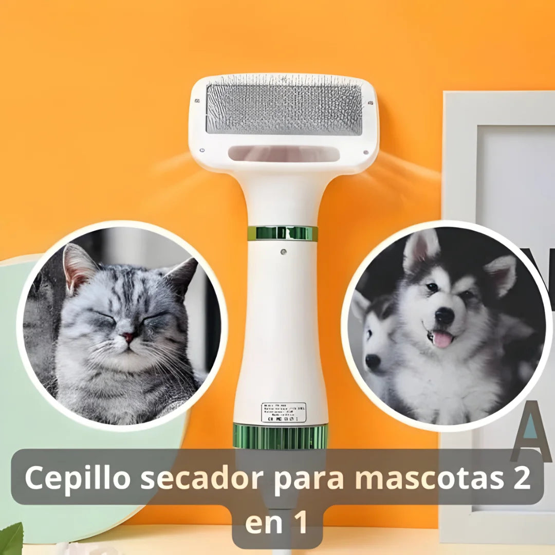 AURAPET - MASCOTA FELIZ